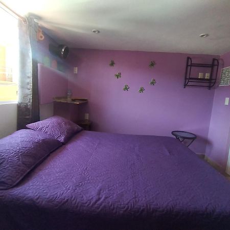 Hospedaje Casa Verde Tepoztlán Eksteriør bilde
